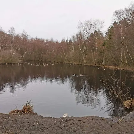8 Person In Albaek-by Traum Ålbæk